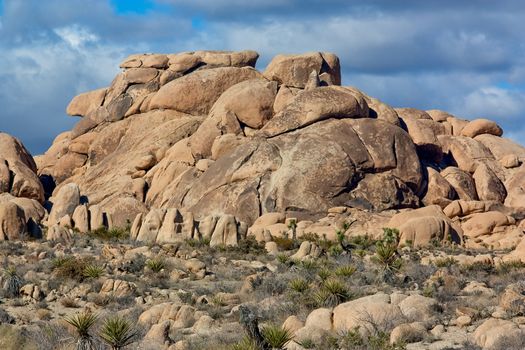 Joshua Tree National Park in Southern California, USA.