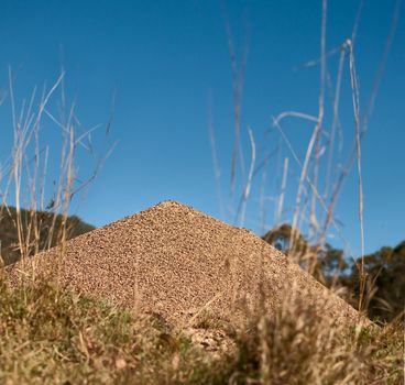 Decomposed granite Australian bull ant nest with blue sky horizon background