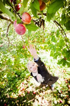 Girl reaching for a branch with apples