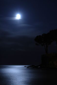 Moon is shining over the calm sea 