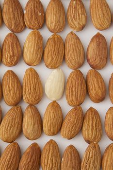 almond line up with on white peeled almond