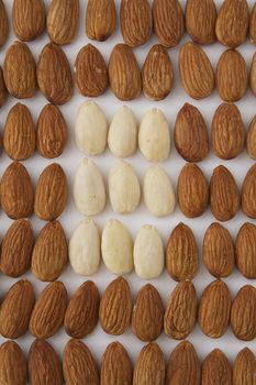 almond line up with a square of white peeled almond