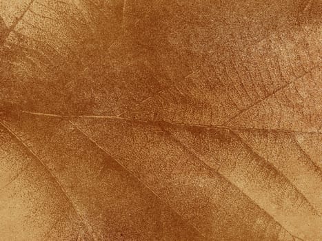 Dry leaf textured on grunge paper background