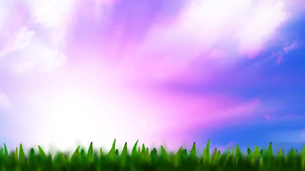 Grass  and defocused sky on background