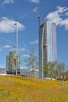 high rise with flowers in foreground