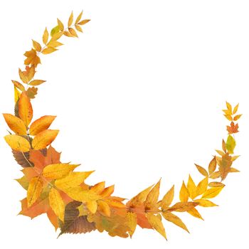Nice frame made from yellow autumn leaves on white background