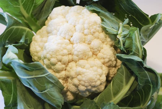 cauliflower