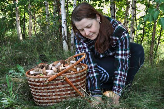 The woman in a wood collects mushrooms

