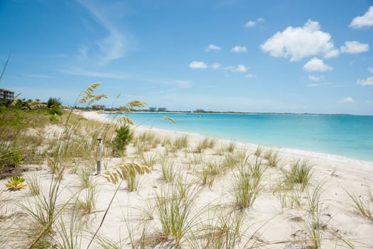 Beach view. sand, grasses and beautiful Caribbean sea.