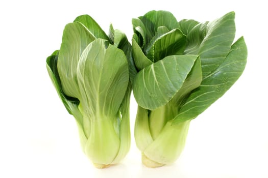 fresh green pak choi on a white background