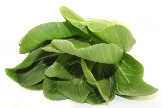 fresh green pak choi on a white background