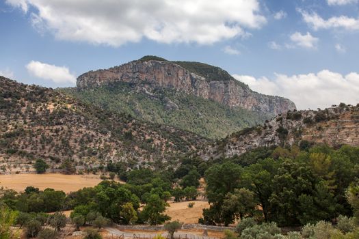 Image of a mediteraneean vegetation in front of the mountain Puig de s’Alcadena near the Alaro town in Mallorca in Balearic Islands, Spain.