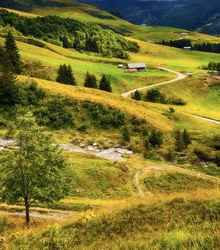 Alpine landscape with chalets, Savoy, France