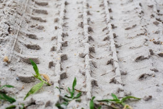 Tire Tracks in the Sand