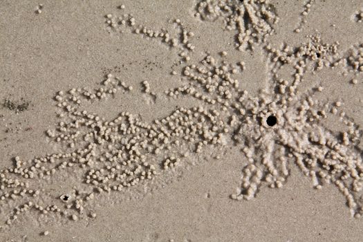 Sandy ground