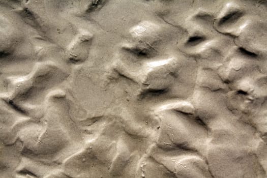 Sandy ground