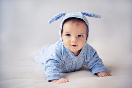 little blue bunny newborn baby