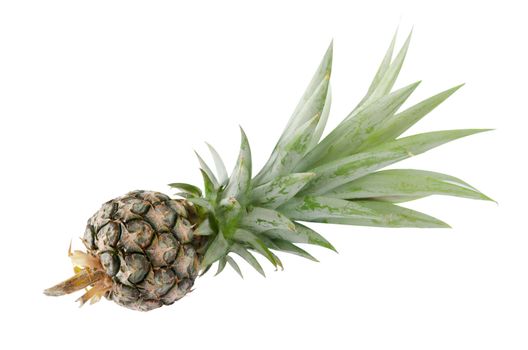 a single of pineapple  on white background