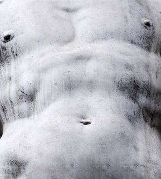 Torso of a famous statue by Michelangelo - David from Florence