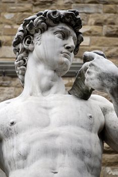 Torso of a famous statue by Michelangelo - David from Florence