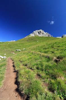 summer landscape of Italian Dolomites in San Pellegrino pass on a bright sunny day