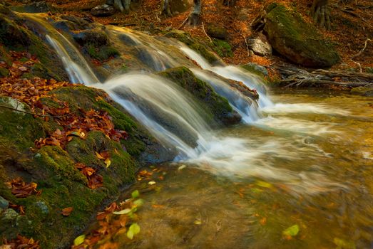 A small waterfall in mountains is surrounded by moss and fallen autumn maple leaves