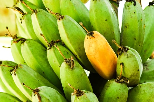 fresh ripe and green banana