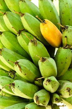 fresh ripe and green banana