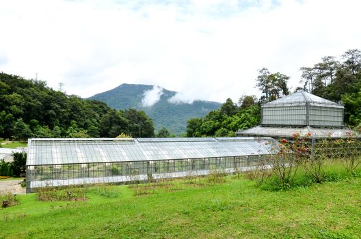 greenhouse in queen sirikit botanical garden, thailand