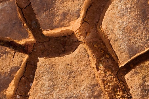 Cracked Ground