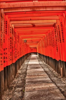 Famous shinto shrine of Fushimi Inari Taisha near Kyoto includes around 1300 orange torii gates, Japan