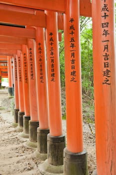 Famous shinto shrine of Fushimi Inari Taisha near Kyoto includes around 1300 orange torii gates, Japan