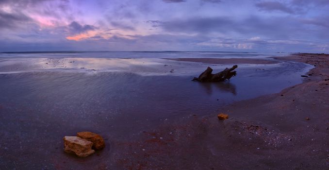 Beautiful decline on the sea coast, rock and snag on sand, majestic clouds, panorama