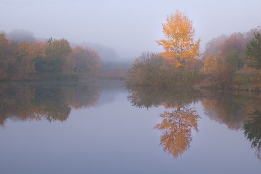 Beautiful autumn landscape with yellow tree on coast of the river and reflection in water