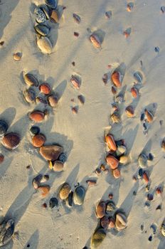 Colorful wet pebbles rubed by waves lying in sea sand.
