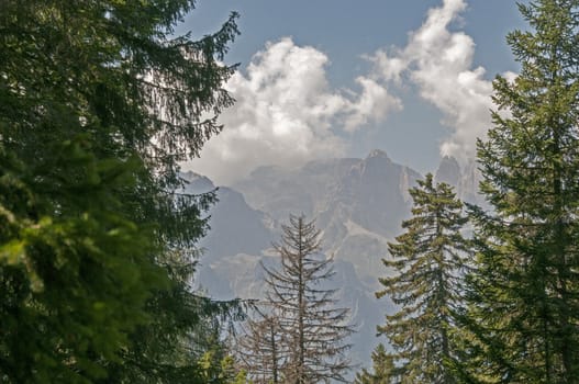 Nature in Italy trentino south Tirol area