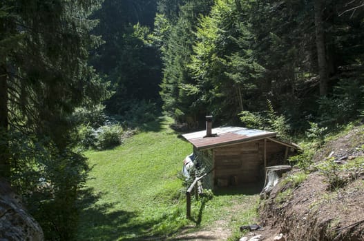 Nature in Italy trentino south Tirol area