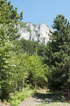 Nature in Italy trentino south Tirol area