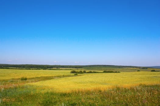 Village summer landscape with blue sky