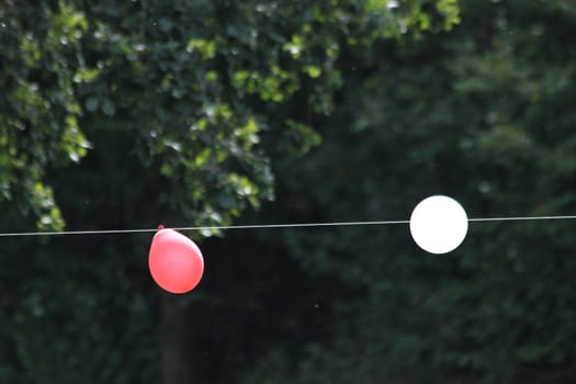 colorful party balloons on a rope