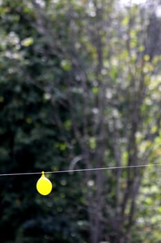 yellow balloon on a rope