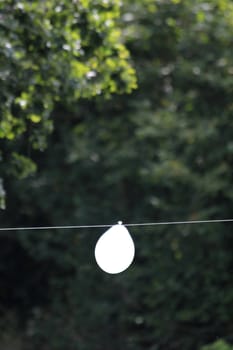 white balloon on a rope