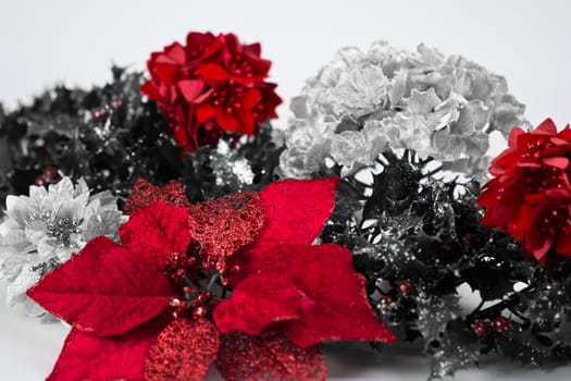 A vibrant red poinsettia with black and white holly