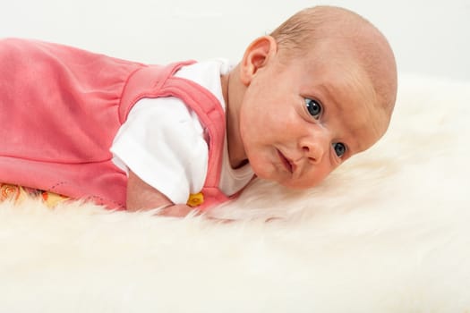 baby on white sheep's clothing.