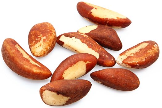 Nine fresh brazil nuts raw over white.