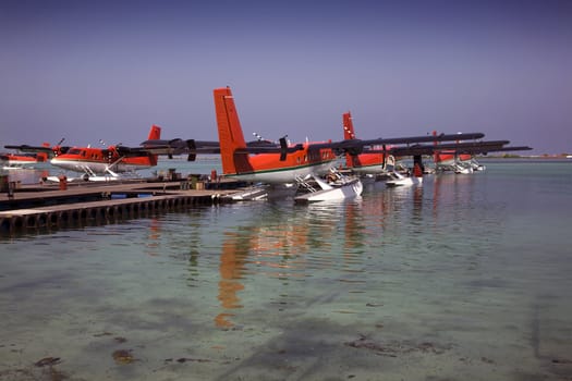 Seaplanes docked at a pier on the water.