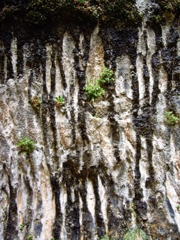 Rock is eroded by water in Zion National Park, USA