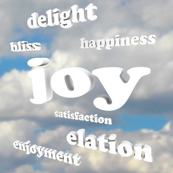 The word Joy and many related words and terms in 3d letters against a cloudy blue sky, including enjoyment, bliss, delight, elation and satisfaction