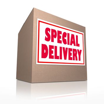 The words Special Delivery on a cardboard box sent through the mail containing merchandise from shopping or a gift or present for a special occasion