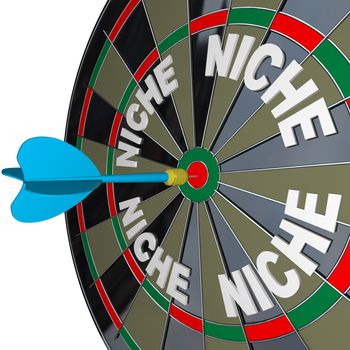 A blue dart hits a bulls-eye to find a unique Niche market with words representing several niches on a dartboard, how to find customers in unique demographic groups with accurate targeted marketing